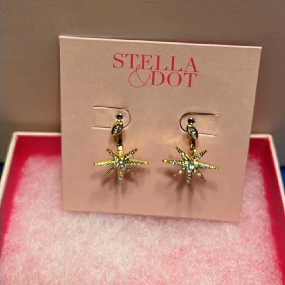 Stella and Dot earrings